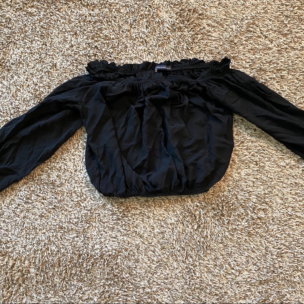 RARE Brandy Melville Off the Shoulder Crop Top